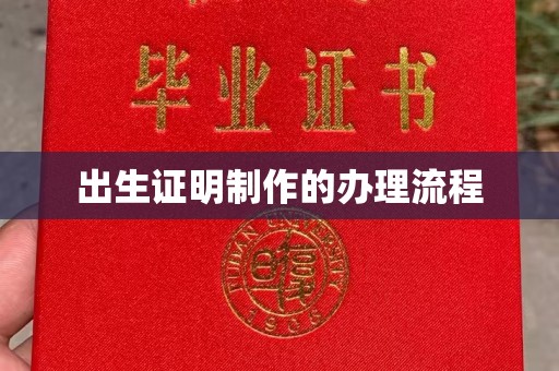 娄底出生证明制作的办理流程