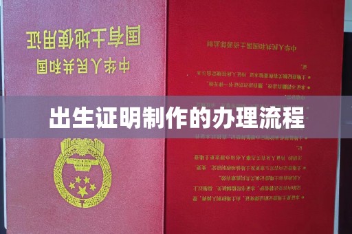 娄底出生证明制作的办理流程