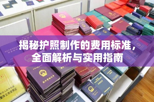 娄底揭秘护照制作的费用标准，全面解析与实用指南