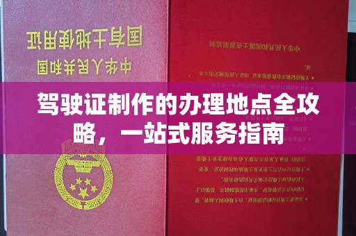 娄底驾驶证制作的办理地点全攻略，一站式服务指南