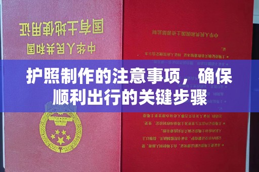 娄底护照制作的注意事项，确保顺利出行的关键步骤