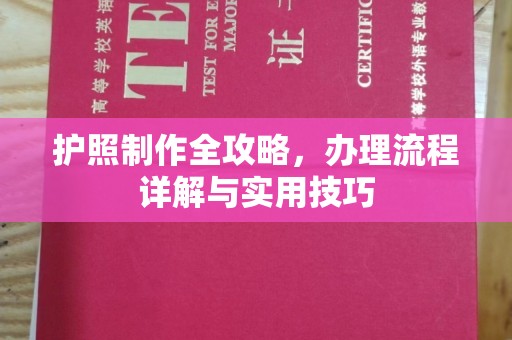 娄底护照制作全攻略，办理流程详解与实用技巧